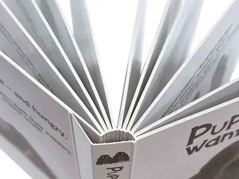 Livro de tabuleiro versus livro de capa dura: um guia completo para editores ...